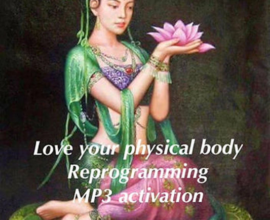 Body Transmission
