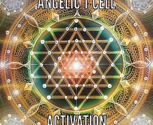 Angelic T Cell